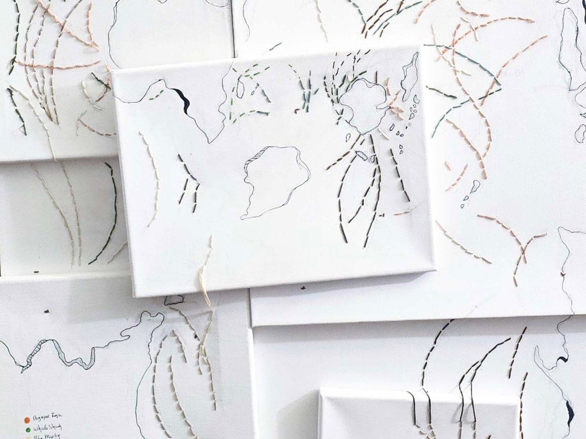 Migratory Cartographies